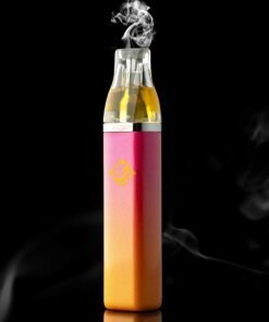 Sluggers Hit Runtz Disposable