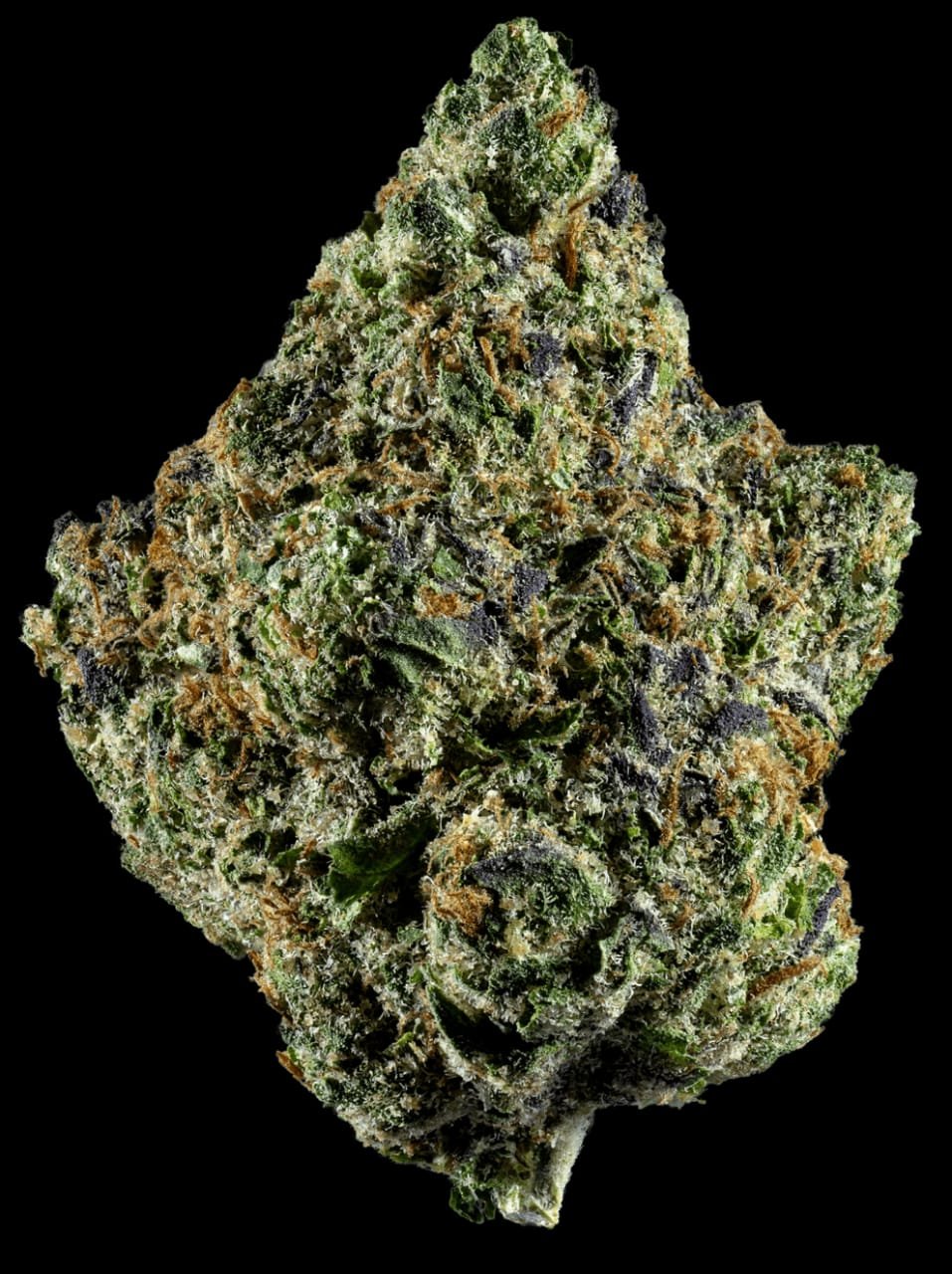 Sluggers Hit 33 Flower Sluggers Hit 33 Flower