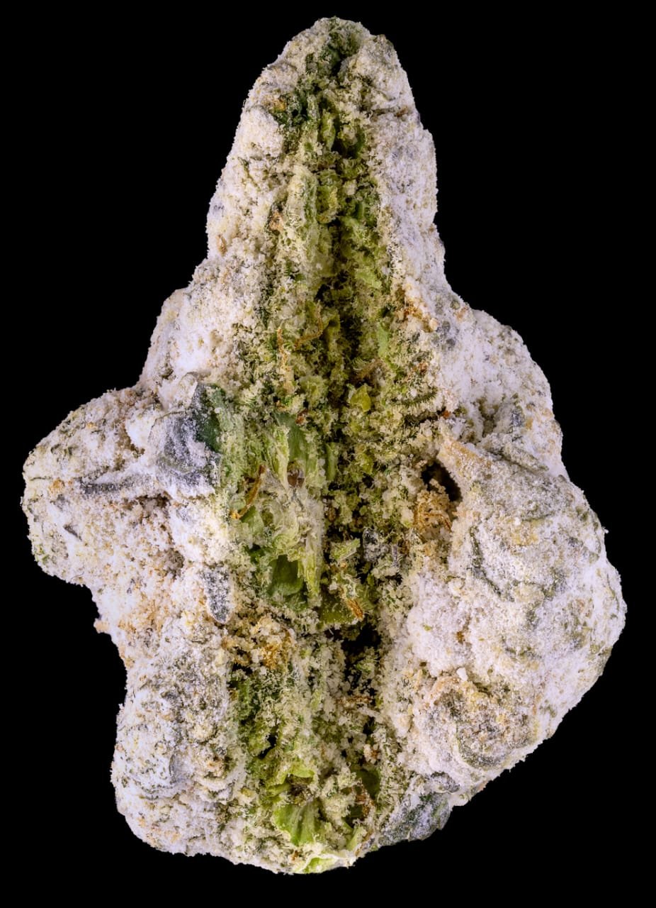 Sluggers Hit Ice Blue Zushi Flower Sluggers Hit Ice Blue Zushi Flower