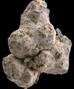 Sluggers Hit Iced Sugarland Flower