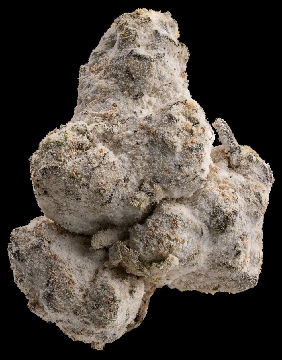 Sluggers Hit Iced Sugarland Flower Sluggers Hit Iced Sugarland Flower