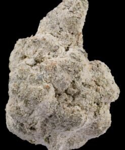 Sluggers Hit Iced Marshmellowz Flower