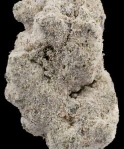 Sluggers Hit Iced Guava Gelato Flower