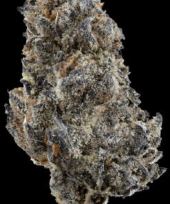 Sluggers Hit Rainbow Road Flower