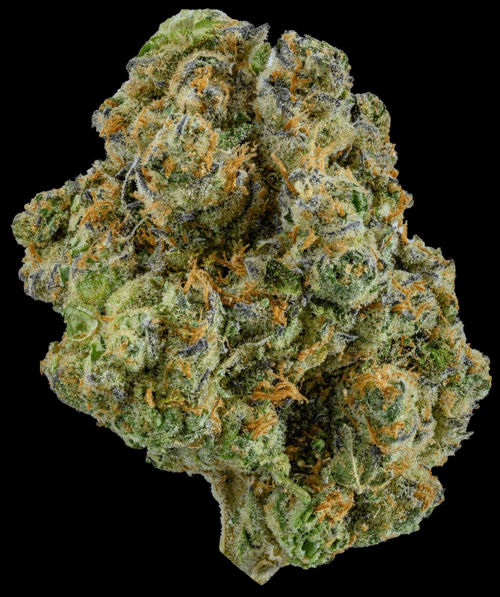 Sluggers Hit Euphoria Flower Sluggers Hit Euphoria Flower